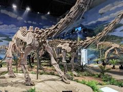 -自贡恐龙博物馆
