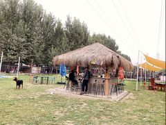 -爪吧宠物乐园·宠物泳池(温榆河示范区店)