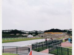 -迪茵湖田家舍生态农场