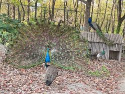 -摩瘦纤体订制减肥