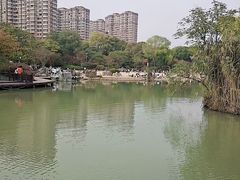 -青枫公园