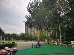 -唐城墙遗址公园