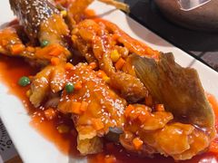 -宋小谨(惠安禹洲店)