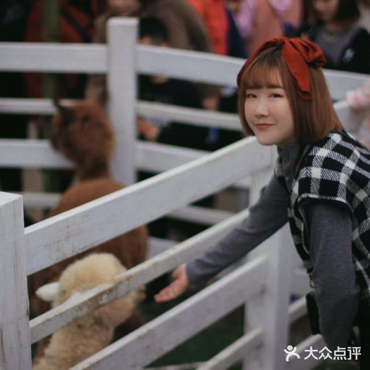 整个园区还挺大的，跟欢乐田园的感觉有点像