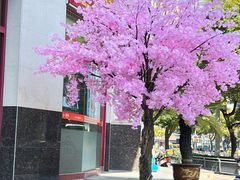 -王興記(中山路店)