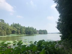 -东湖落雁景区