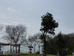 -巢湖姥山岛