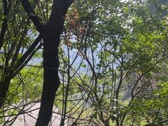 -狼牙山风景区