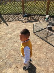 -萌宠亲子动物乐园(槐房万达店)