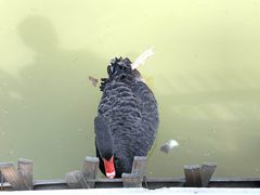 -艾溪湖湿地公园