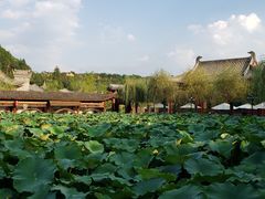 -渭南桃花源民俗文化园