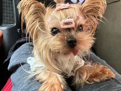 -明洋钵钵鸡(春田小区店)