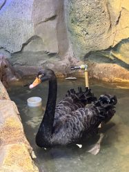 -酷嗒动物文化乐园(cutezoo西溪乐天城店)