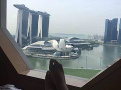 -新加坡丽思卡尔顿美年酒店