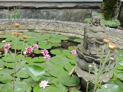 -都江堰普照寺