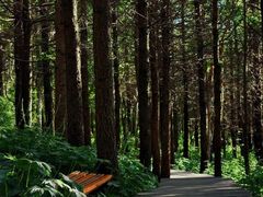 -白草畔自然风景区