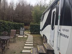 -崇明东平国家森林公园烧烤房车露营地