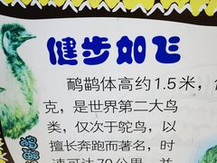 -深圳野生动物园