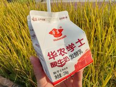-华农酸奶文化馆
