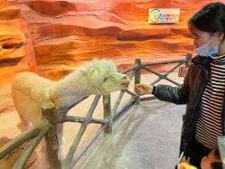 -酷嗒动物文化乐园(cutezoo西溪乐天城店)