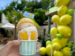 -苏小糖(鼓浪屿三丘田花园店)