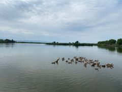 -野鸭湖国家湿地公园