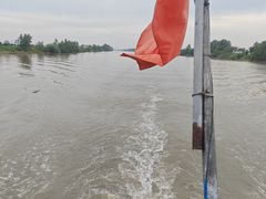 -洪湖生态旅游区