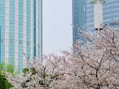 -西北湖绿化广场