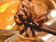 -小龙坎老火锅(北京三里屯店)