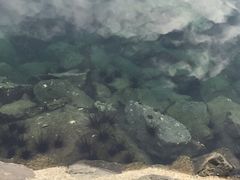 -麦哲伦丝绸度假村