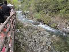 -黄山翡翠谷景区