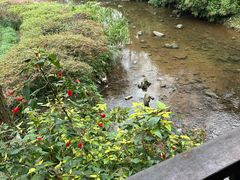-重庆彩云湖湿地公园