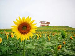 -光明小镇欢乐田园