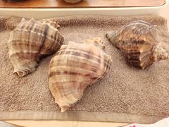 -金海湾海鲜排档(朱家尖店)