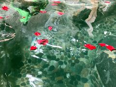-云涛森林温泉