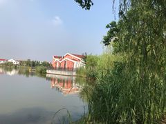 -上海长兴岛郊野公园