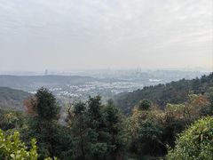 -旺山景区