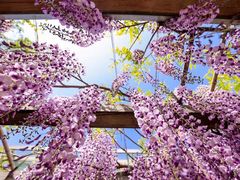 -北京京宝行宝马4S店(闵庄路店)