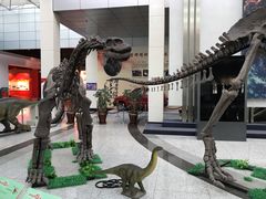 -吉林市博物馆