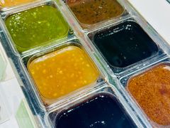 -Salud撒露欧洲冻酸奶(北苑上品店)