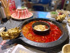 -蜀大侠火锅(建设路第五大道店)