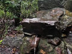 -虎跑公园