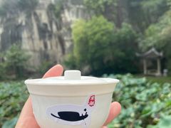 -绍兴东湖风景区