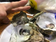 -大富蚝乌东哥饭店·石锅鱼杂·柠檬鸭(革新路店)