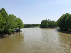 -上海海湾国家森林公园