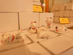 -猫咪博物馆(顶澳仔猫街店)