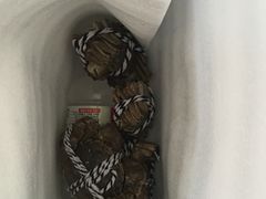 -喜洋洋蟹庄(阳澄湖店)