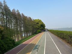 -贡湖湾湿地公园
