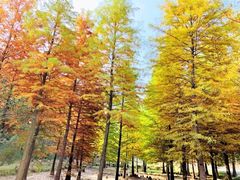 -南京市无想山景区