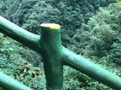 -赤马湖体育滑雪